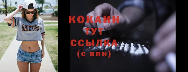 мяу мяу мука Няндома