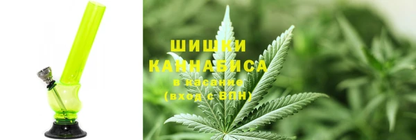 гидра Новозыбков